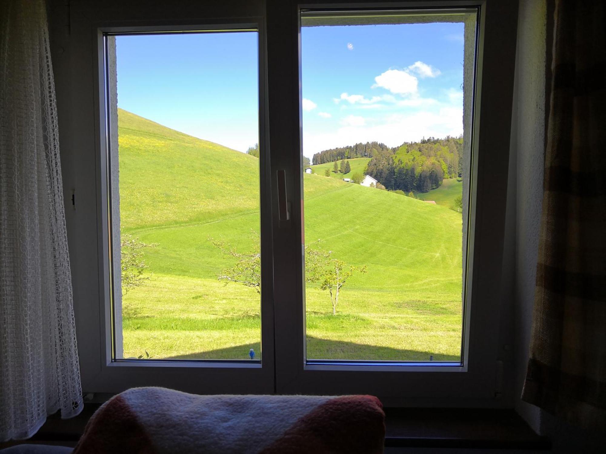 Apartment Am Birkenweg Walde Екстериор снимка
